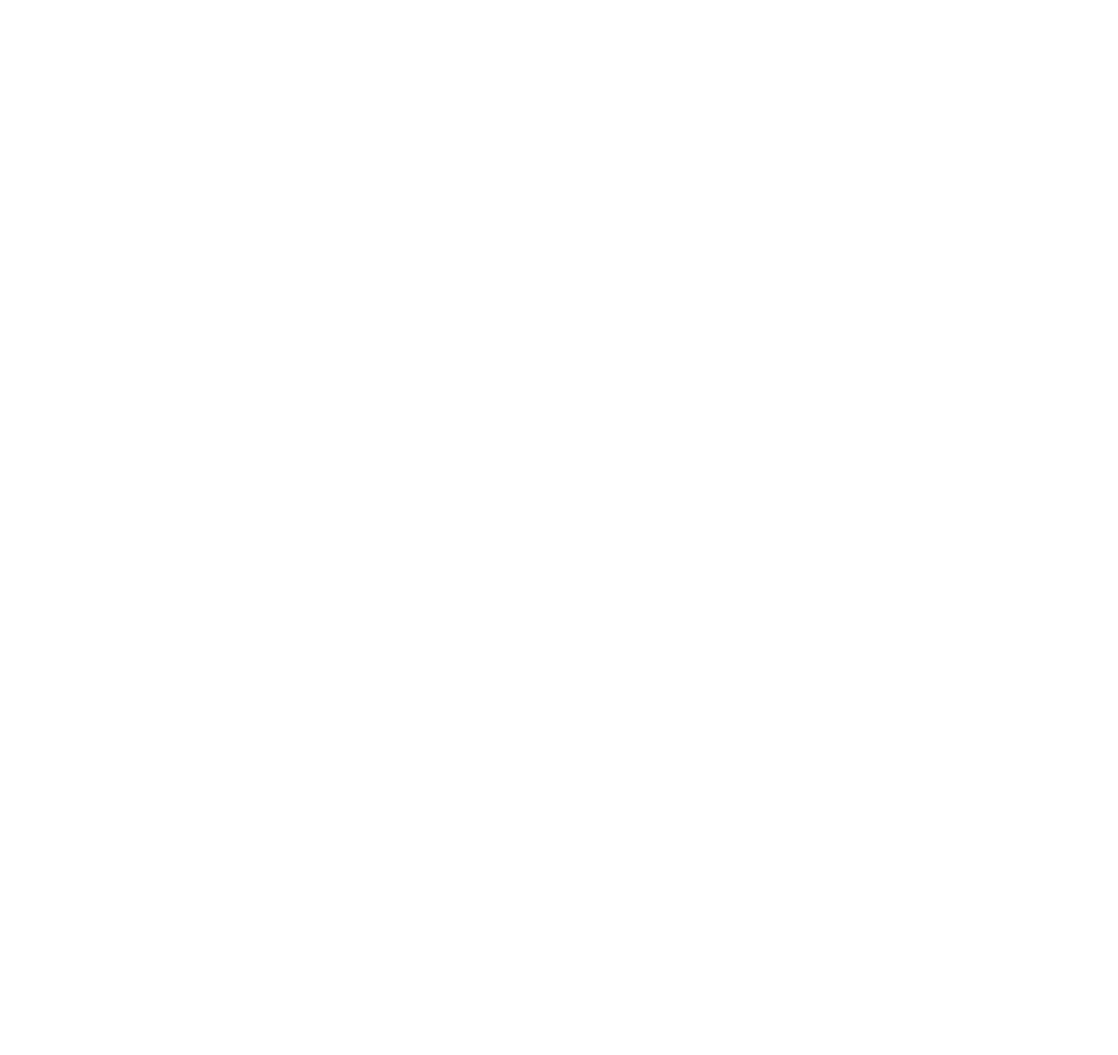 CBN logo