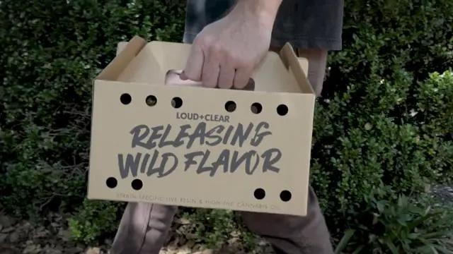 Loud + Clear Releasing Wild Flavors 2