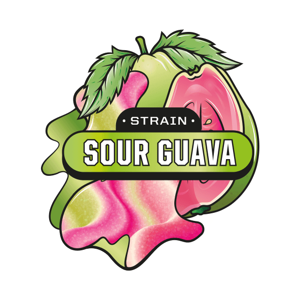 Sour Guava