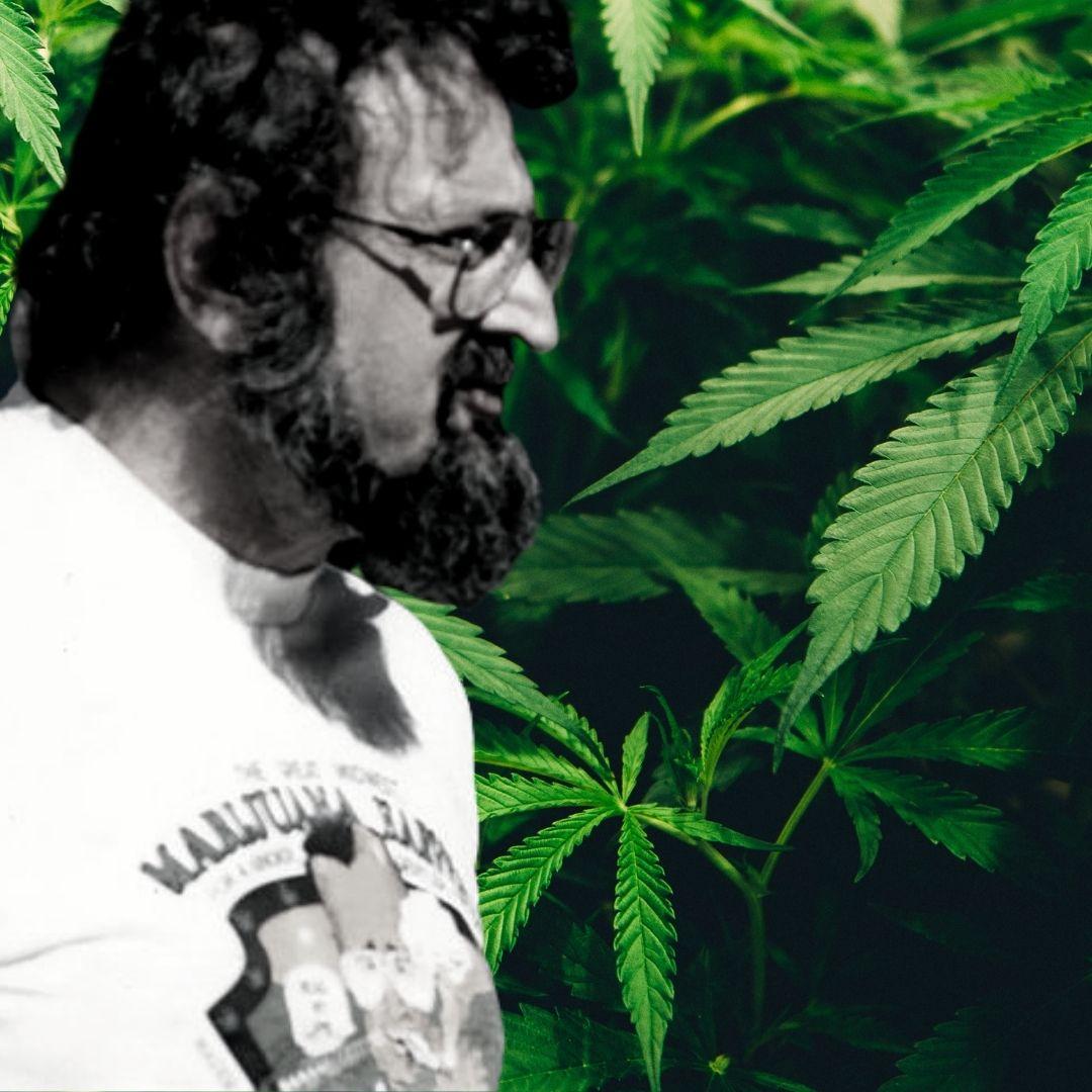 Who and What is Jack Herer?