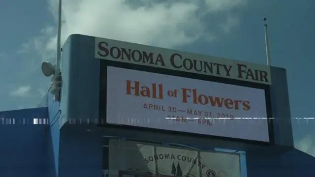 Hall of Flowers (2019)