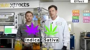 How It's Made - Cannabis Full Spectrum Oil