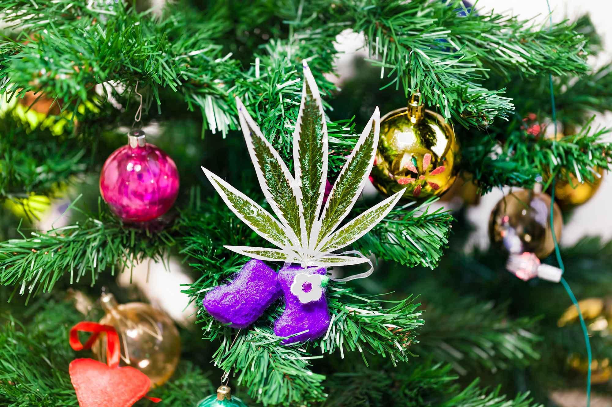 Five Dank-tacular gifts for every weed-lover on your list